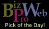 BizProWeb Award